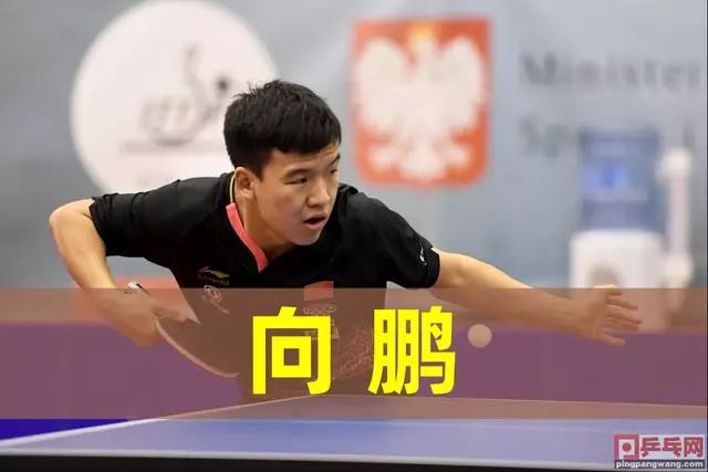 监督与度量 监督与度量